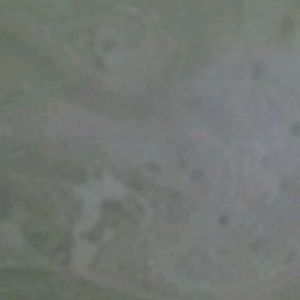 Meet your Posher, Emmanuel